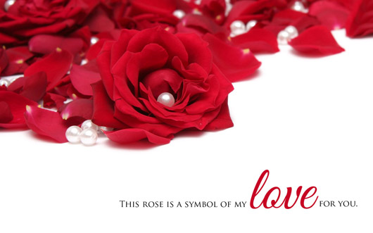 Love Roses Wallpaper
