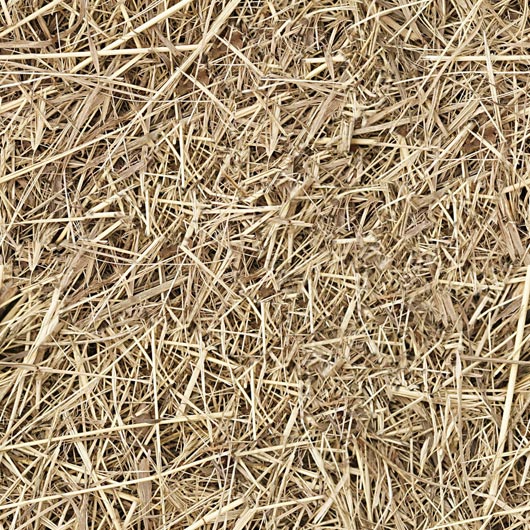 hay straw seamless texture