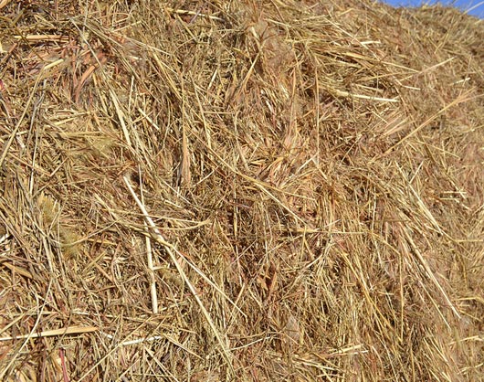 hay texture