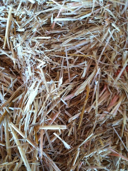 Straw Texture 1